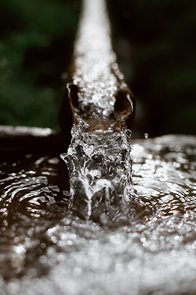 ¿Fugas de agua ocultas? ¿Cómo reconocerlas?