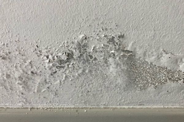 7 consejos para combatir la humedad en tu hogar
