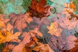 Lluvias de otoño: cómo prepararte para evitar atascos y desbordamientos